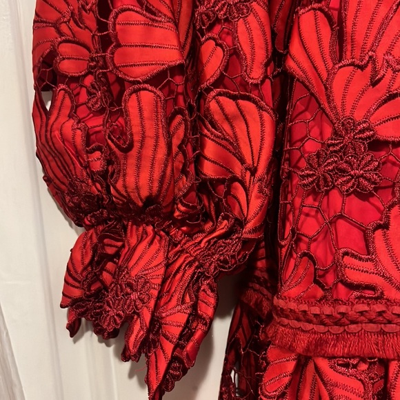 Alexis Franchesca Florl Red Lace Mini Dress M - Picture 4 of 11